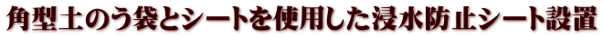 角型土のう袋とシートを使用した浸水防止シート設置
