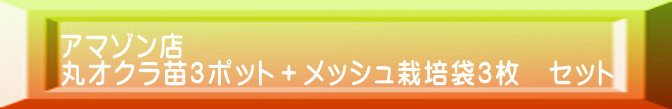 アマゾン店 丸オクラ苗3ポット＋メッシュ栽培袋3枚　セット