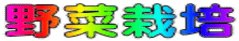 野菜栽培